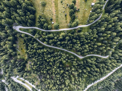 20210806-20210806-DJI_0244-HDR