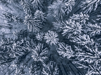 20220109-20220109-DJI_0366-HDR