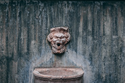 44446646431_1d849bd8eb_o