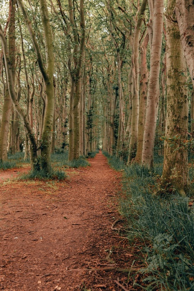 48071726153_6fe24dff0f_o